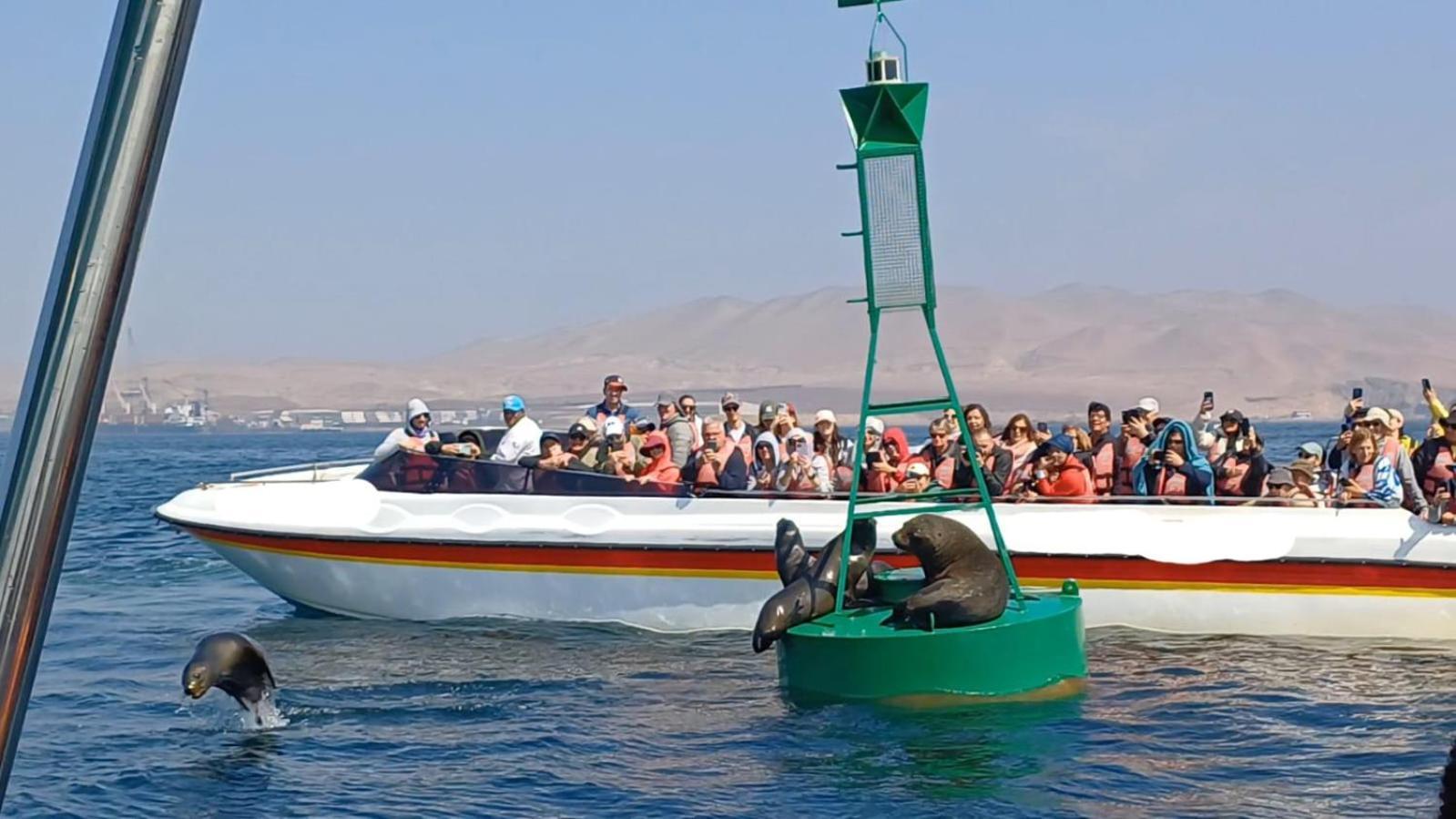Arena Hostal Paracas Exterior photo